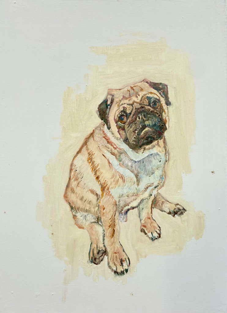 dog portrait prapa